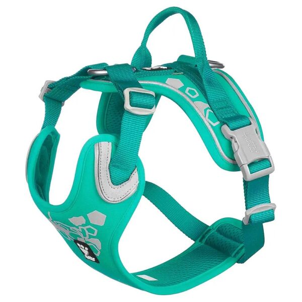 Ergonomic Medium Dog Harness with Cool Mesh Lining and Comfy Fit for Active Pups