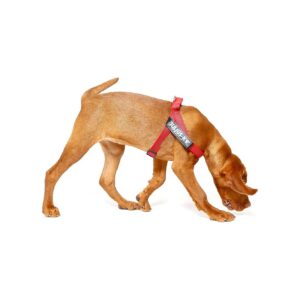 Ergonomic Nylon Harness for Mini-Mini Dogs in Red-Gray Color