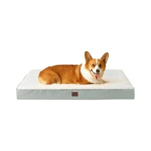 Ergonomic Orthopedic Dog Bed with 5-Inch High-Density Foam for Medium Dogs and Cats