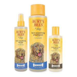 Escape Itch and Dry Skin with This Essential Pet Grooming Kit