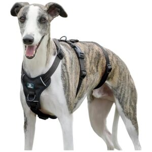 Escape Proof Dog Harness for Medium Sized Dogs, No Pull Front Clip, Breathable Pet Vest