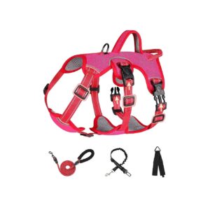 Escape Proof Dog Harness with Leash Set for Small Size Dogs Pink Size S