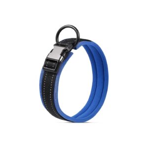 Essential Large Dog Collars