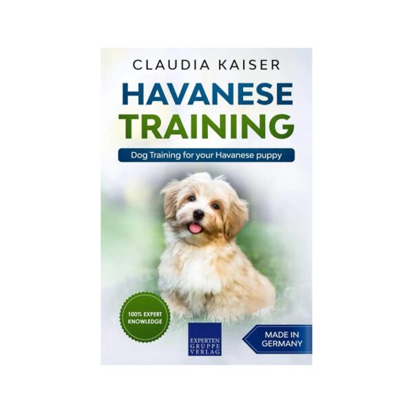 Essential Training Tips and Tricks for Havanese Puppy Owners