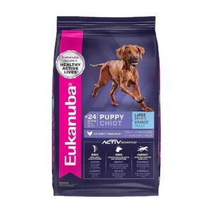 Eukanuba Large Breed Puppy Food for Healthy Muscle and Bone Growth