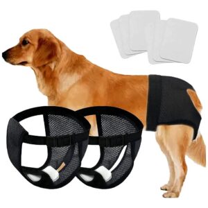 Every Pet Reusable Dog Diapers with Breathable Mesh for Small Medium and Large Dogs