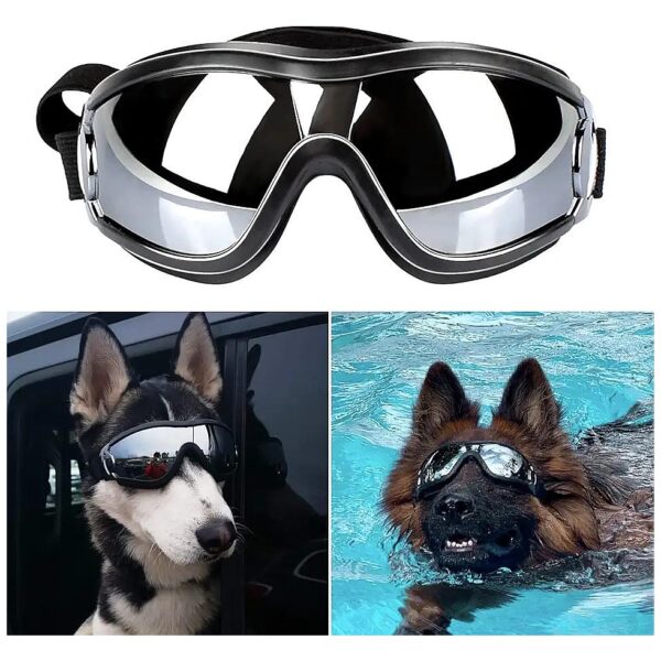 Excellent Black Dog Snow Goggles with Adjustable Strap and Polycarbonate Lens