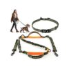 Experience Hands Free Walking, Comfortable Running Leash for Small to Medium Dogs