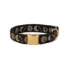 Exquisite Crescent Celestial Cat Collar for Small Breeds Black Buckle Closure