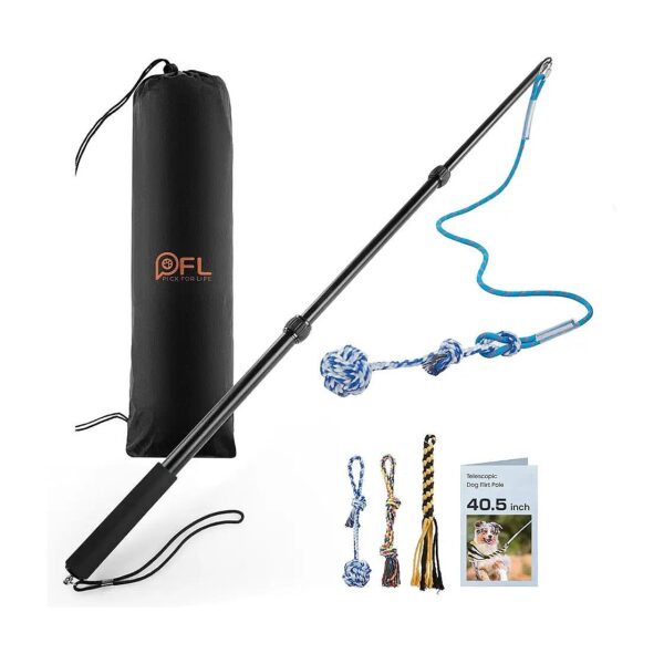 Extendable Pole, Interactive Toys, and Reinforced Rope for Small to Large Dog Exercise