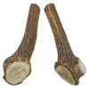 Extra Large Dog Antler Chews - Tough Axis Deer Horns for Aggressive Chewers