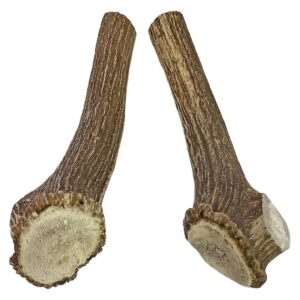 Extra Large Dog Antler Chews - Tough Axis Deer Horns for Aggressive Chewers