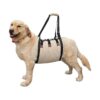 Extra Large Dog Support Sling for Reduced Mobility and Recovery from Orthopedic Injuries