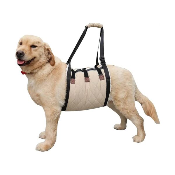 Extra Large Dog Support Sling for Reduced Mobility and Recovery from Orthopedic Injuries