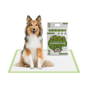 Extra Large Dog Training Pads for Small to XL Sized Dogs, Earth-Friendly Pee Pads