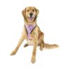 Extra Large Mesh Padded Dog Harness with Adjustable Buckle, Pink