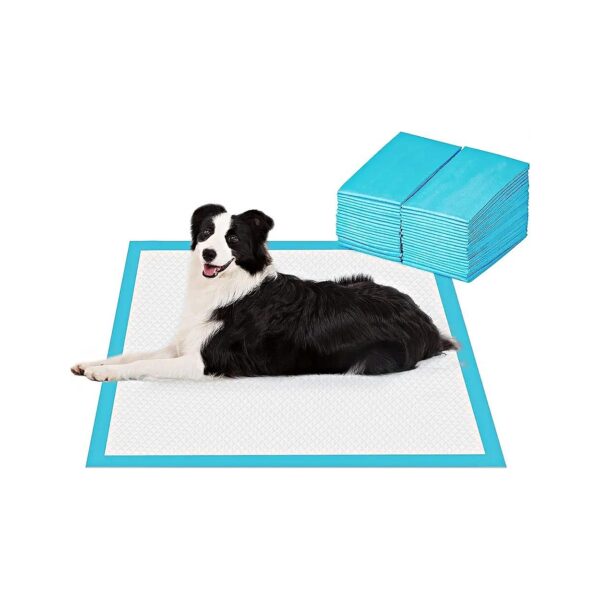 Extra Large Pet Pads for Puppy Training with Leak-Proof Design