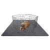 Extra Large Pet Training Pads for All Weather Use