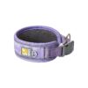 Extra Soft and Widened Padding Dog Collar with Quick Release Buckle for All Breeds