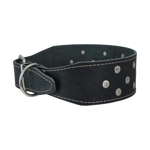 Extra Wide Black Leather Collar for Large Breed Dogs with Solid Construction