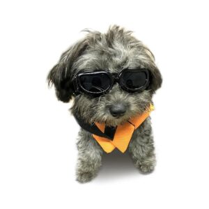 Eye Protective Dog Glasses with Anti-Fog, Wind, and Dustproof Features for Small Dogs