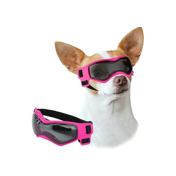 Eyecare Goggles for Small Breed Dogs with UV and Wind Protection