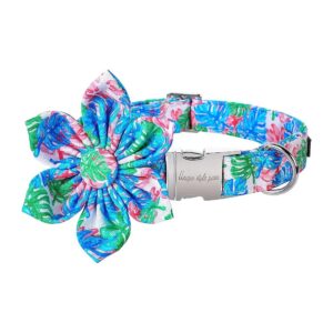 F Leaf Dog Collar with Flower Pattern for Small Medium and Large Breed Dogs