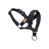 Fabric Padded Dog Head Collar with Adjustable Harness for Comfort and Control