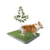 Fake Grass Pee Pad for Dogs Training Litter Box Tray Indoor Outdoor Puppy Large Dogs