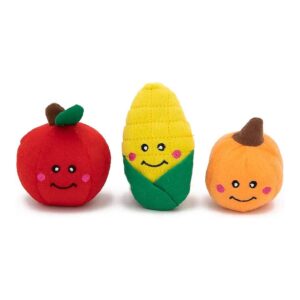 Fall Harvest Plush Squeaky Dog Toys for Small Breed Puppies