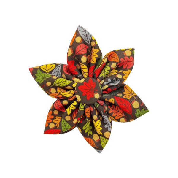 Fall Leaves and Nuts Pinwheel Accessory for Small Dogs and Cats