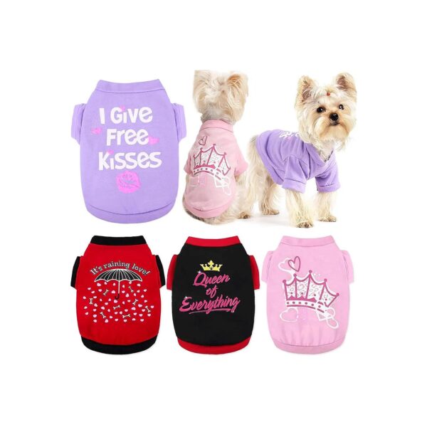 Fall and Winter Dog Clothes for Small Dogs