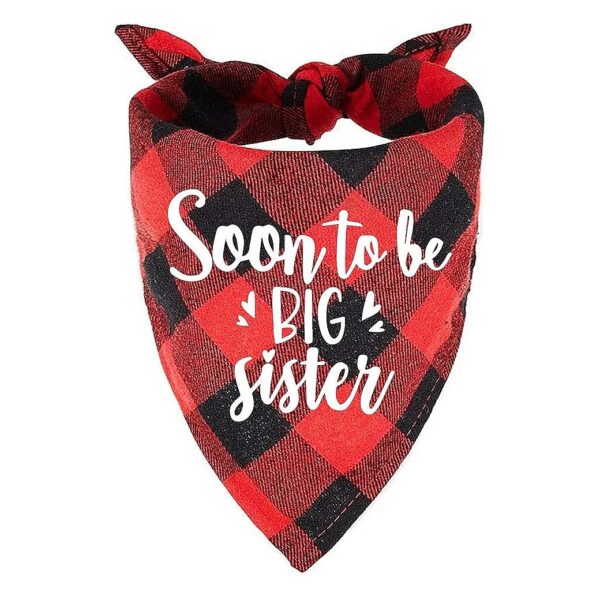 Family Kitchen Essential Red Plaid Girl Dog Bandana for Everyday Wear and Fashion