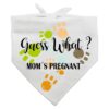 Family Kitchen Pregnancy Reveal Pet Scarf Photo Prop Decorations