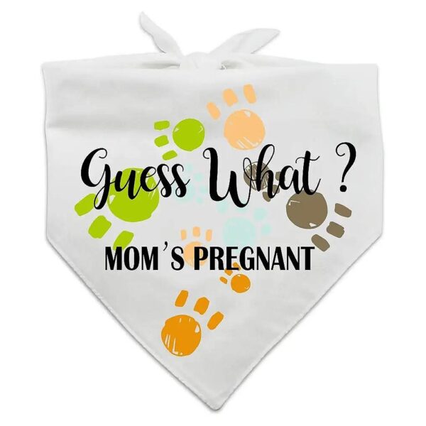 Family Kitchen Pregnancy Reveal Pet Scarf Photo Prop Decorations