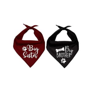 Family Kitchen Puppy Parents Big Sister Brother Pregnancy Announcement Dog Scarves