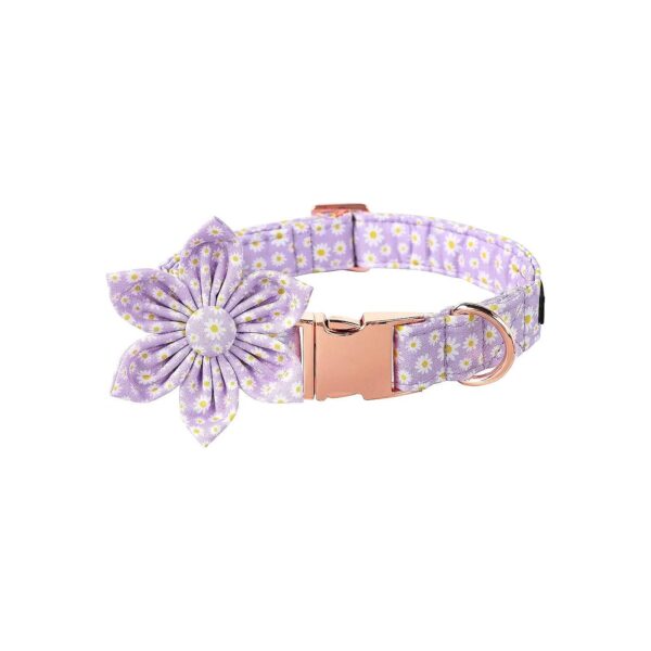 Fancy Flower Patterned Dog Collar with Easy-on Buckle for Medium Dogs