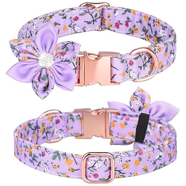 Fashionable Purple Floral Patterned Metal Dog Collar for Small to Large Female Dogs