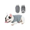 Fashionable Small Puppy Winter Coat for Boys and Girls with White Trim