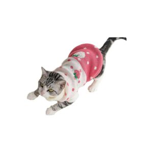 Fashionable Strawberry Turtleneck Cat Sweater for Small Cats and Puppies