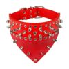 Fashionable and Functional Leather Dog Collar with Studs and Spikes in Red