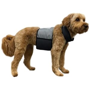 Fast Cooling Relief for Medium-Sized Dogs and Puppies Water-Cooled Vest and Collar Medium