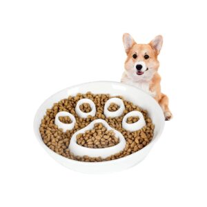 Fast and Healthy Eating for Small Cats and Dogs with this White Ceramic Slow Feeder Bowl