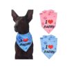 Father's Day Triangle Bib Scarf Accessories for Dogs - Pink Blue Set of Two