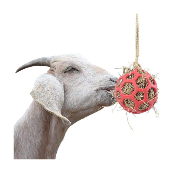 Feeder Ball for Goat Exercise and Play with Stress Relief Hay and Treats