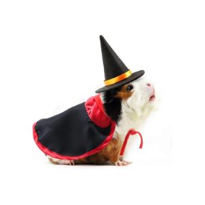 Felt and Satin Guinea Pig Holiday Costume Hat and Cape for Small Animals