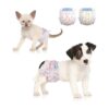 Female Dog Diapers for Small to Large Breeds with Wetness Indicator and Super Absorbency