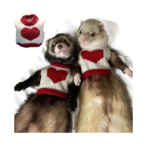 Ferret Accessories Kit Outfit for Holiday Season Pet Wear