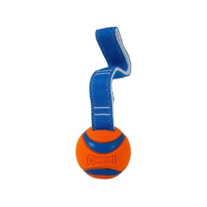 Fetch and Tug Dog Toy for Medium-Sized Dogs 20-60 Pounds