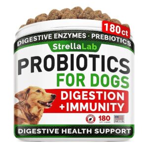 Fiber-Rich Probiotic Treats for Constipation Relief and Healthy Gut Bacteria